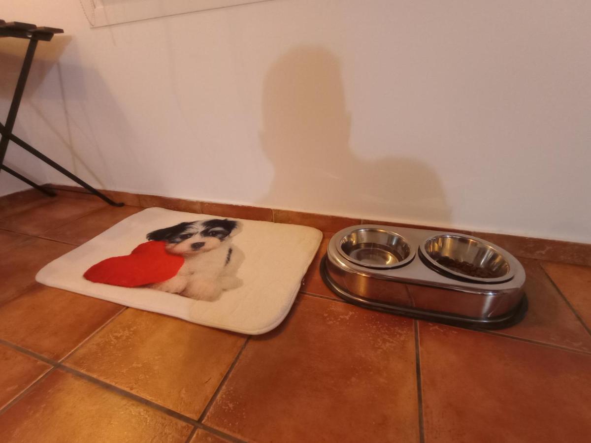 Casa De Campo Los Manueles Ideal Perros Pet Friendly Гохар Экстерьер фото