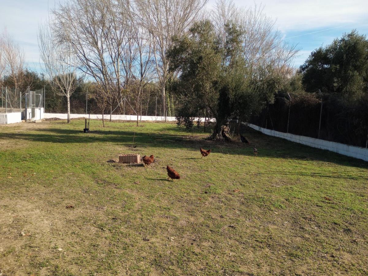 Casa De Campo Los Manueles Ideal Perros Pet Friendly Гохар Экстерьер фото