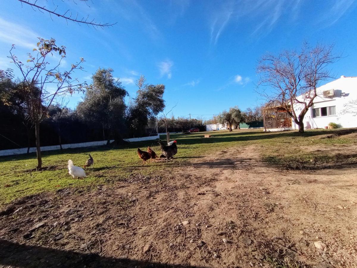 Casa De Campo Los Manueles Ideal Perros Pet Friendly Гохар Экстерьер фото