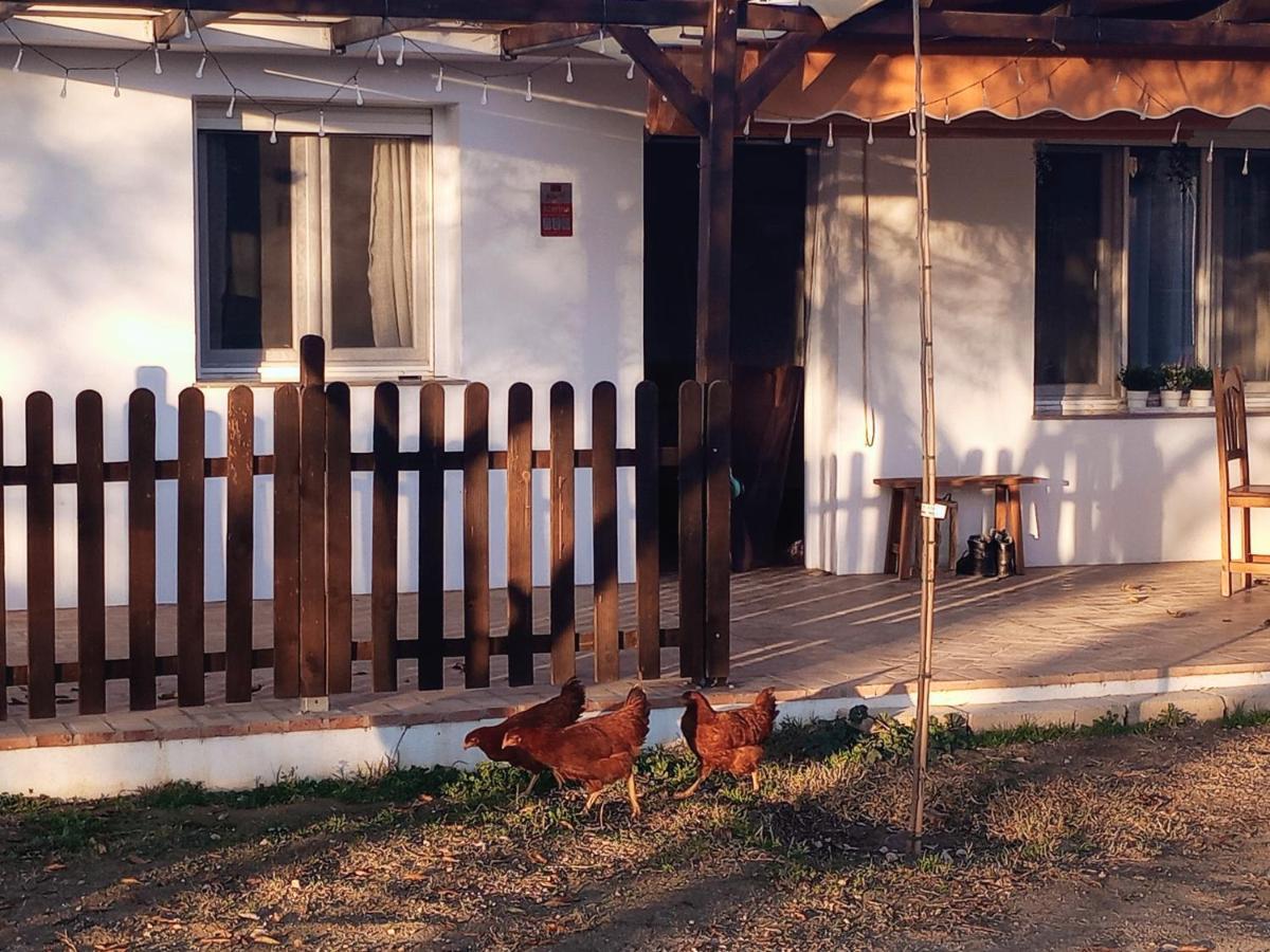 Casa De Campo Los Manueles Ideal Perros Pet Friendly Гохар Экстерьер фото
