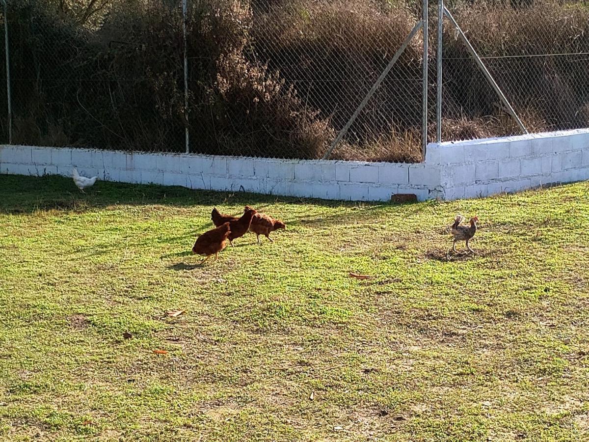 Casa De Campo Los Manueles Ideal Perros Pet Friendly Гохар Экстерьер фото