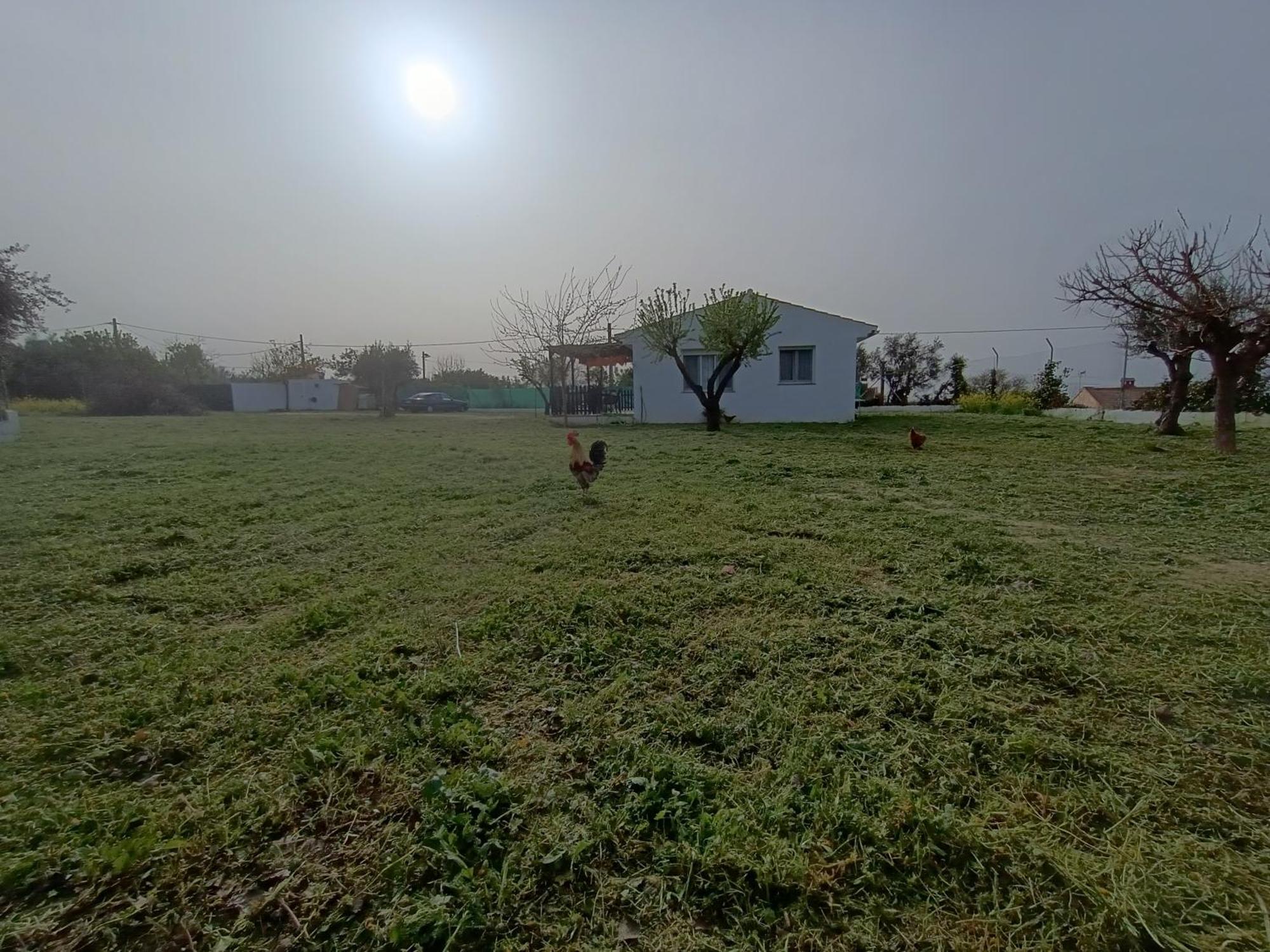 Casa De Campo Los Manueles Ideal Perros Pet Friendly Гохар Экстерьер фото