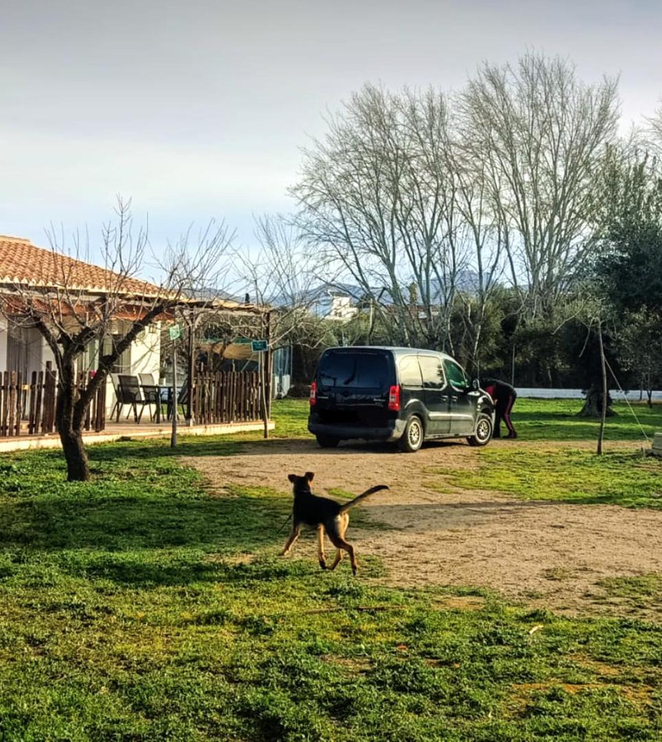 Casa De Campo Los Manueles Ideal Perros Pet Friendly Гохар Экстерьер фото